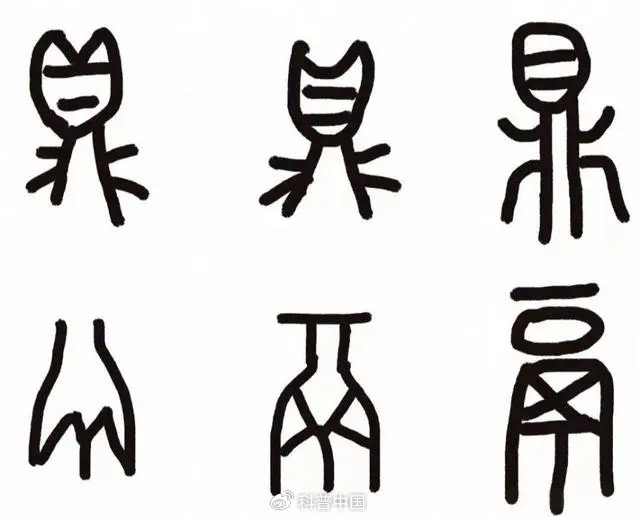 △鼎鬲古文字部分对比图。第一排为鼎，第二排为鬲，从左至右顺序为甲骨文、金文、篆文。