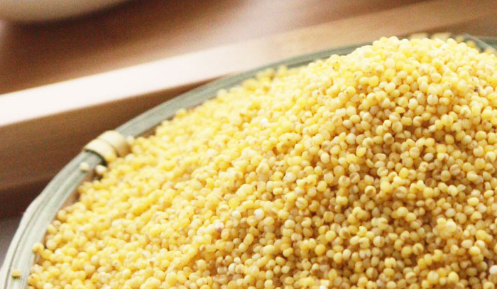 武安小米，来源：武安融媒综合广播