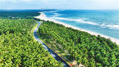 海南环岛旅游公路文昌东郊椰林段风光。赵文淦摄
