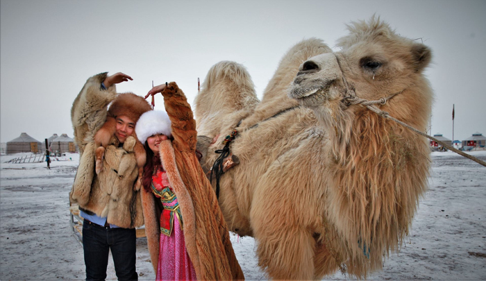 游客在呼伦贝尔参与天天那达慕活动。草原全媒·正北方网记者 李新军 摄