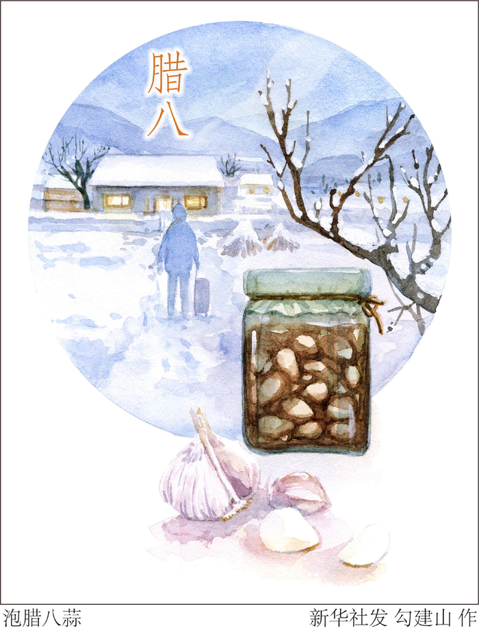 （泡腊八蒜 新华社发 勾建山 作）