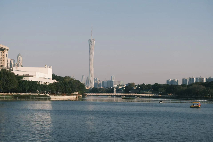 离职后，经常去散步的公园，受访者供图