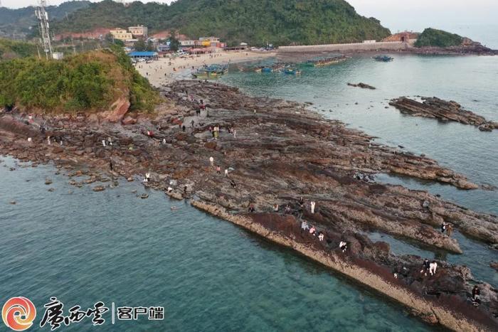 彭慶 攝線路:北海—欽州—防城港北部灣海洋科普研學旅行第三條圖為