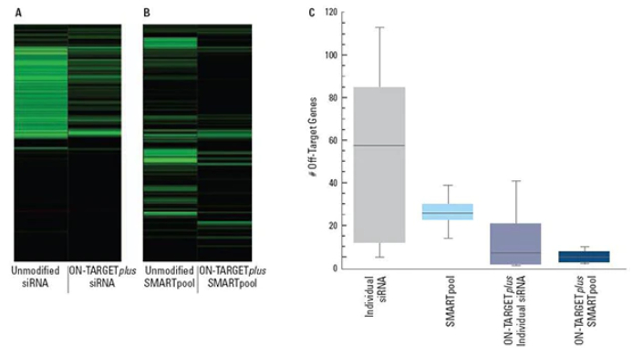 图注：ON-TARGETplus™修饰减少了脱靶效应，而SMARTpool进一步减少了脱靶的数量