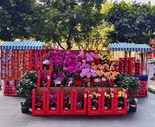 （图：广州天河区街头，盒马年宵花快闪店）