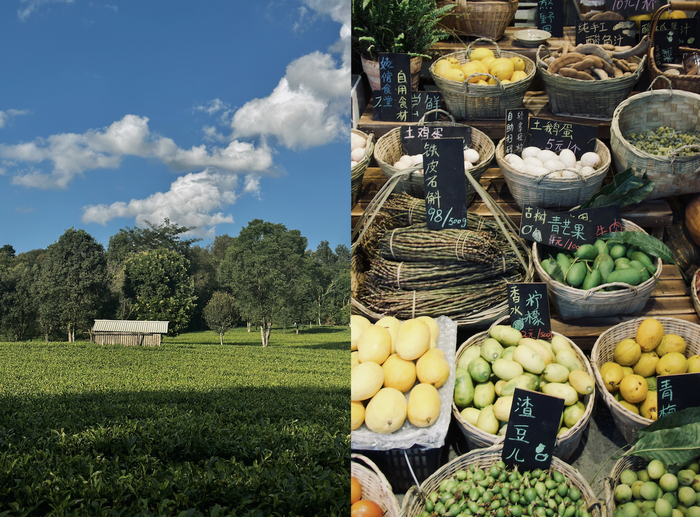 辞职后，火火前往云南，“过具体的生活”，受访者供图