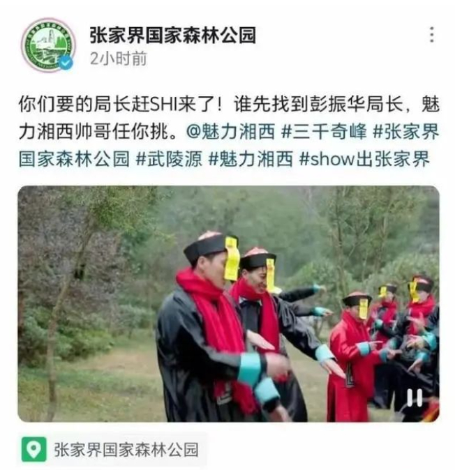 图片来源：张家界国家森林公园官方账号发布视频动态截图