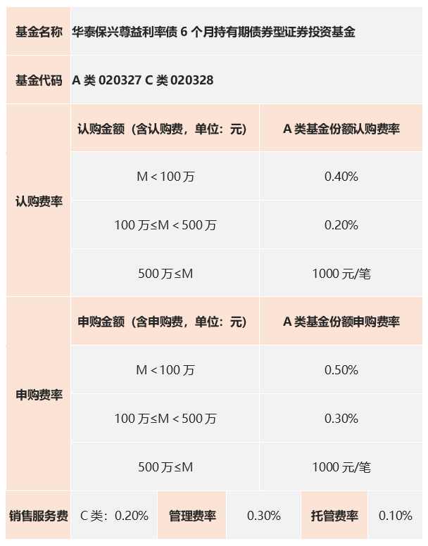 周咏梅简介：