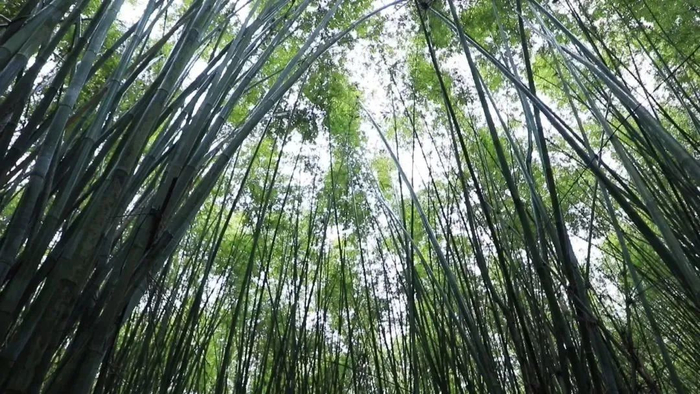 △图源 广宁发布