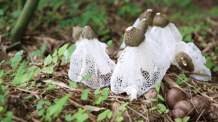 △图源 广宁发布