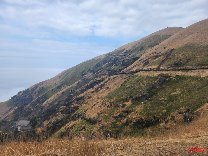 ↑冬季枯黄的高山草甸 胡伊文 摄