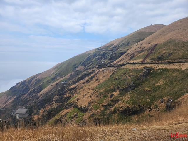 ↑冬季枯黄的高山草甸 胡伊文 摄
