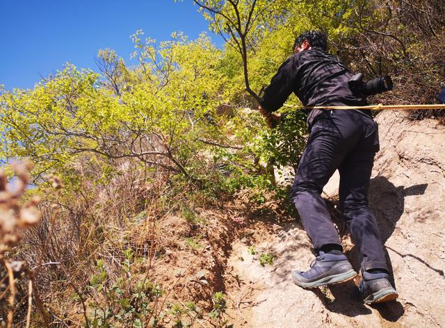 延庆区文物管理所对即将修缮的长城进行勘查。