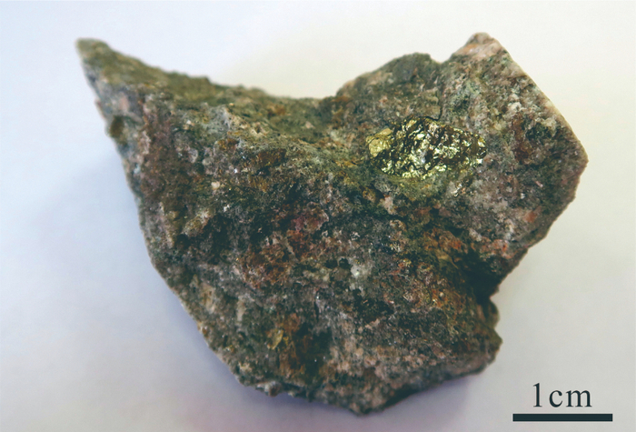 　　含倪培石的稀土矿石照片。（受访者供图）