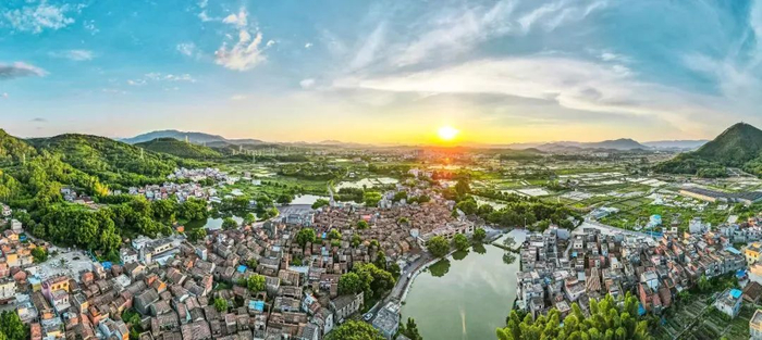 △ 高要区莲塘镇荔枝村。陈彦成 摄