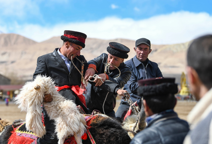 ↑2023年3月22日，比江·比格瓦孜（左）在牦牛叼羊比赛中拼抢，他口衔牧鞭，一手拽住缰绳，一手抓紧羊。