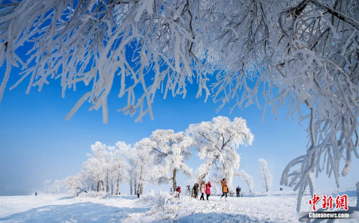 雾凇美景吸引人们驻足观赏。金隆生/摄