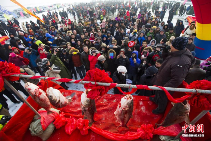 热闹的冬捕现场。潘晟昱/摄