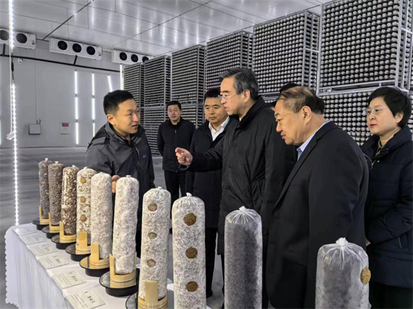 青岛市委书记曾赞荣到双塔食品子公司艾泽福吉调研_新浪新闻