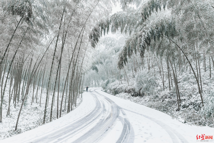 ▲蜀南竹海雪景。张飞摄
