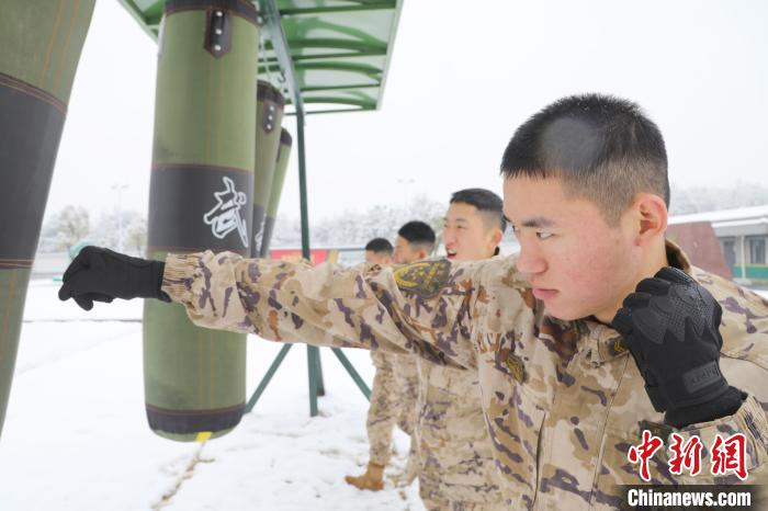 武警浙江总队金华支队武警官兵进行强化体能训练。郭和龙 摄
