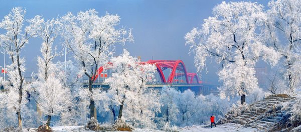 吉林市雾凇美景。资料照片