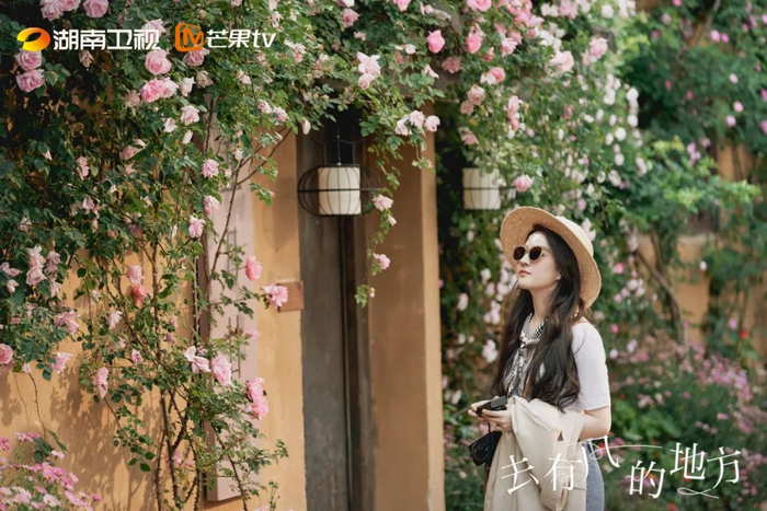 图源 / 豆瓣《去有风的地方》官方剧照