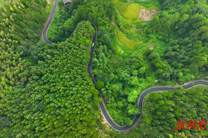 车辆行驶在通道侗族自治县X182县道万佛山镇山溪村段。李尚引 摄