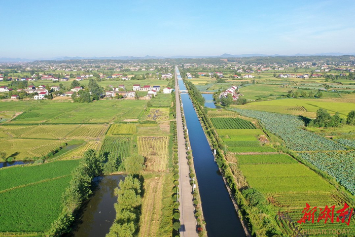 澧县大堰垱镇九旺村，汩汩甘泉经小水渠输送到水池、堰塘、田间。柏依朴 摄