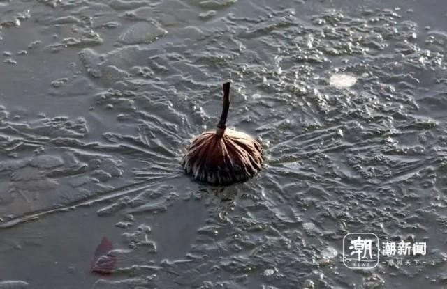 潮新闻 记者 林云龙 摄