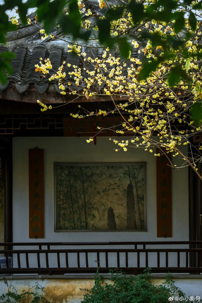 摄影：小小影月