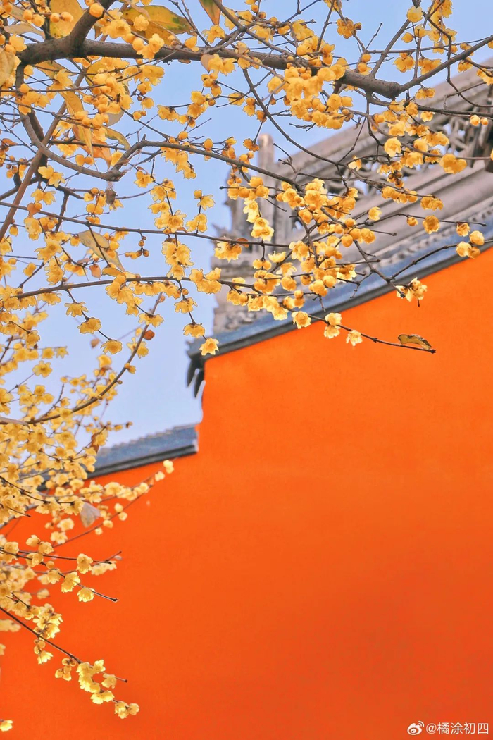 摄影：橘涂初四