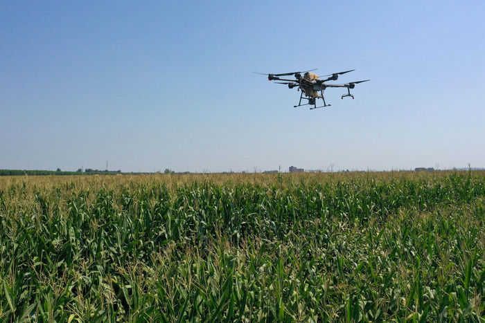 ▲资料图 图据视觉中国