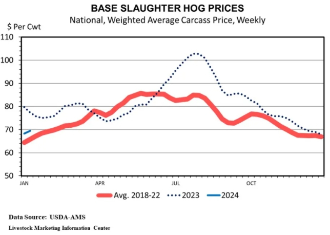  美国农业部对外农业服务局预计，2024年世界猪肉产量将下降1%。在三个最大的生产国中，美国的猪肉产量预计将增加，但中国和欧盟的猪肉产量预计将低于2023年。除非生猪屠宰出现意外短缺，否则2024年生猪价格可能与去年的平均价格持平或低于去年的平均价格。对于生猪生产商来说，2024年的经济损失应该会比去年少，但生猪价格不太可能把赤字变成黑色。