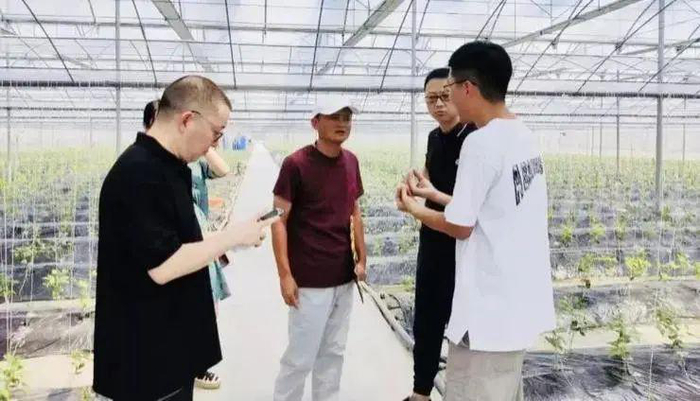 图/马云在各地参观农业技术。