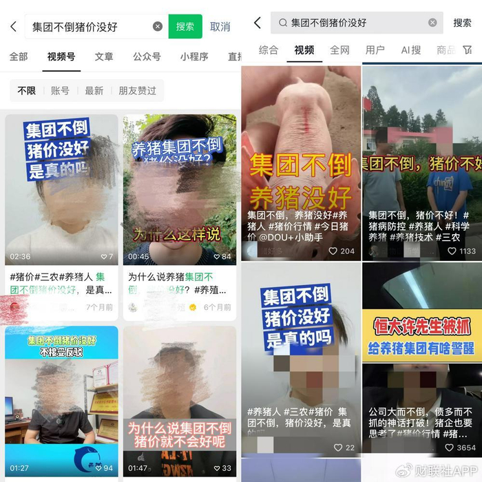 （部分视频截图）