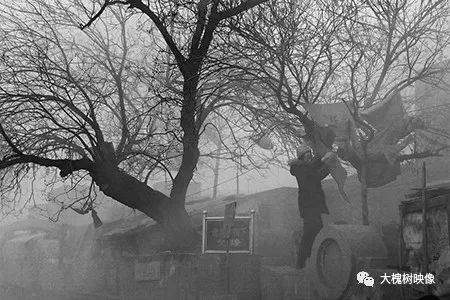 ▲以前的大槐树。（资料图片）