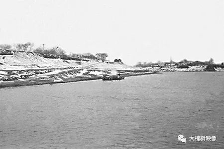 ▲20世纪80年代，漯河沙澧河交汇处，从照片上可以清晰地看到沙河南岸河堤上的大槐树。（资料图片）