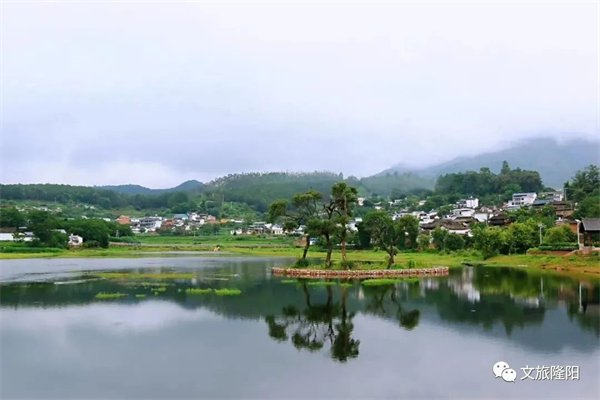 "四级书记"一起抓,保山为何如此重视这项工作?|保山市_新浪新闻