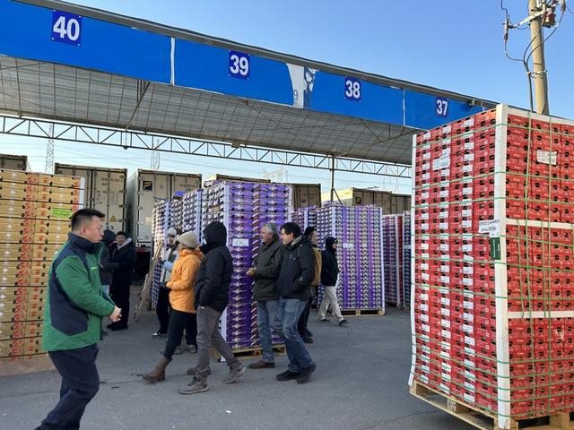 辉展果蔬市场有不少来自智利的车厘子出口商 沈思怡/摄