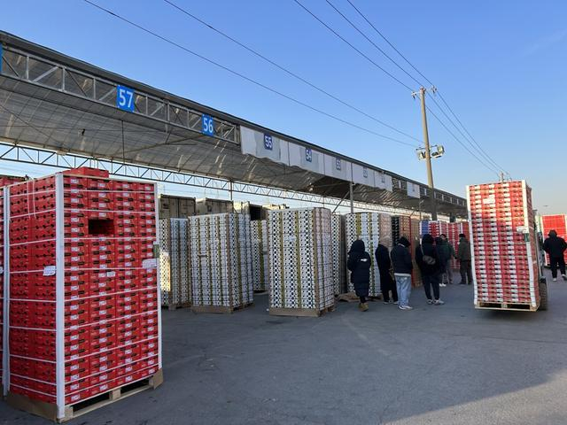 目前是辉展蔬果市场的车厘子交易旺季 沈思怡/摄