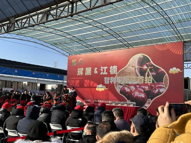 辉展果蔬市场举办首场车厘子拍卖会 沈思怡/摄