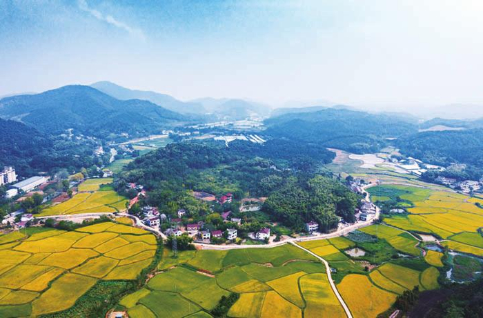 贵池区涓桥镇紫岩村风景如画。（资料图）