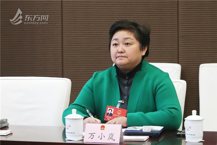 徐家汇街道党工委书记万小岚代表