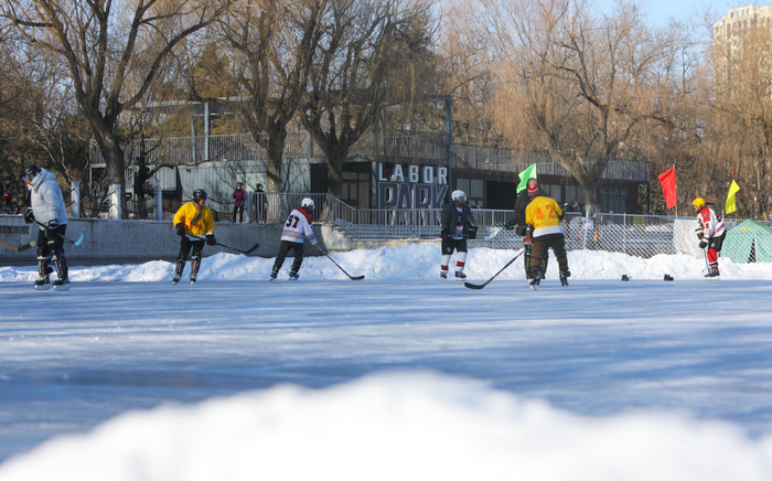 2024年1月7日，冰球爱好者在辽宁省沈阳市劳动公园人工湖上打冰球。新华社记者 陈为 摄