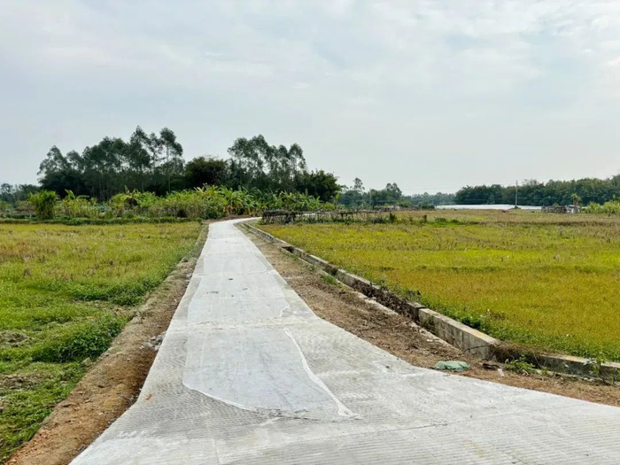 △连接新桥镇湾边村、长湖村的跨村公路完成升级改造，助力乡村振兴。钟正谦 摄