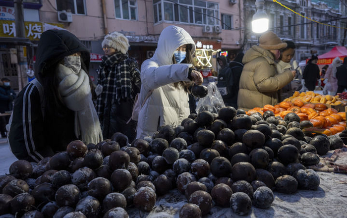 2024年1月22日，在黑龙江哈尔滨红专街早市，游客挑选冻梨和冻柿子。新华社记者 才扬 摄
