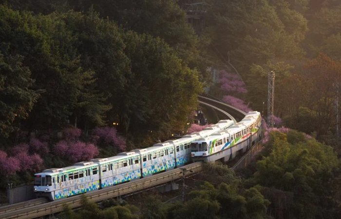 重庆轨道交通屡获点赞 上游新闻记者 周瑄 摄 