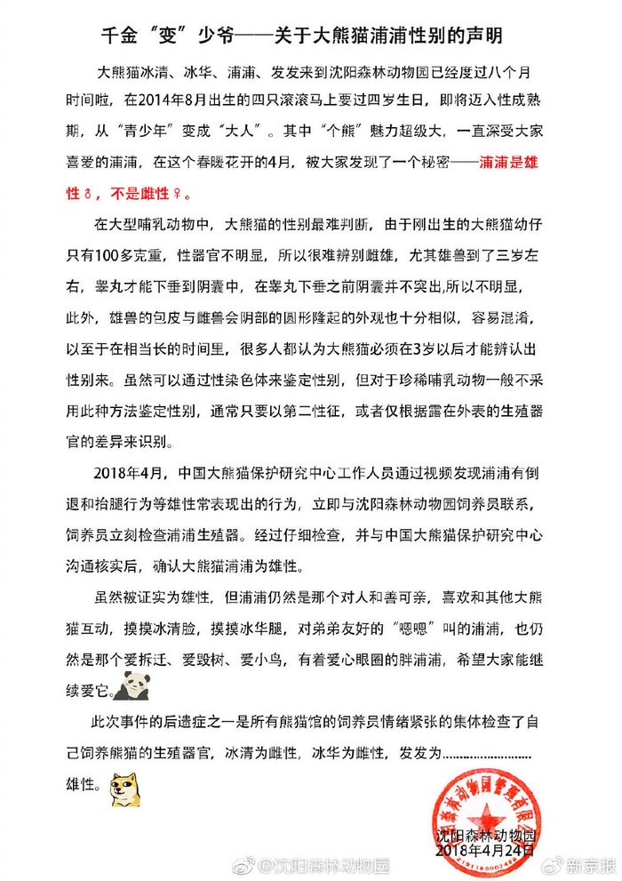 关于大熊猫浦浦性别的声明。图/@沈阳森林动物园