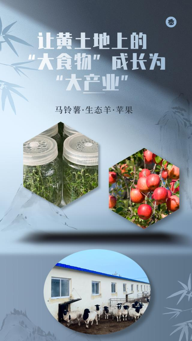 新华社记者 柴婷 制图